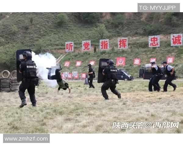 西安滑板队反击战术解析与实战应用全景剖析